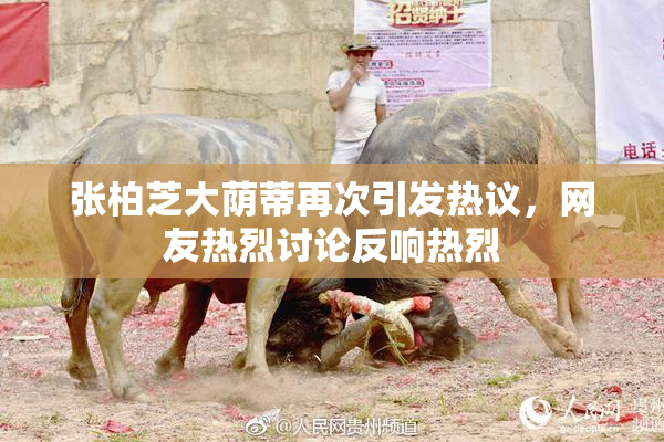 张柏芝大荫蒂再次引发热议，网友热烈讨论反响热烈