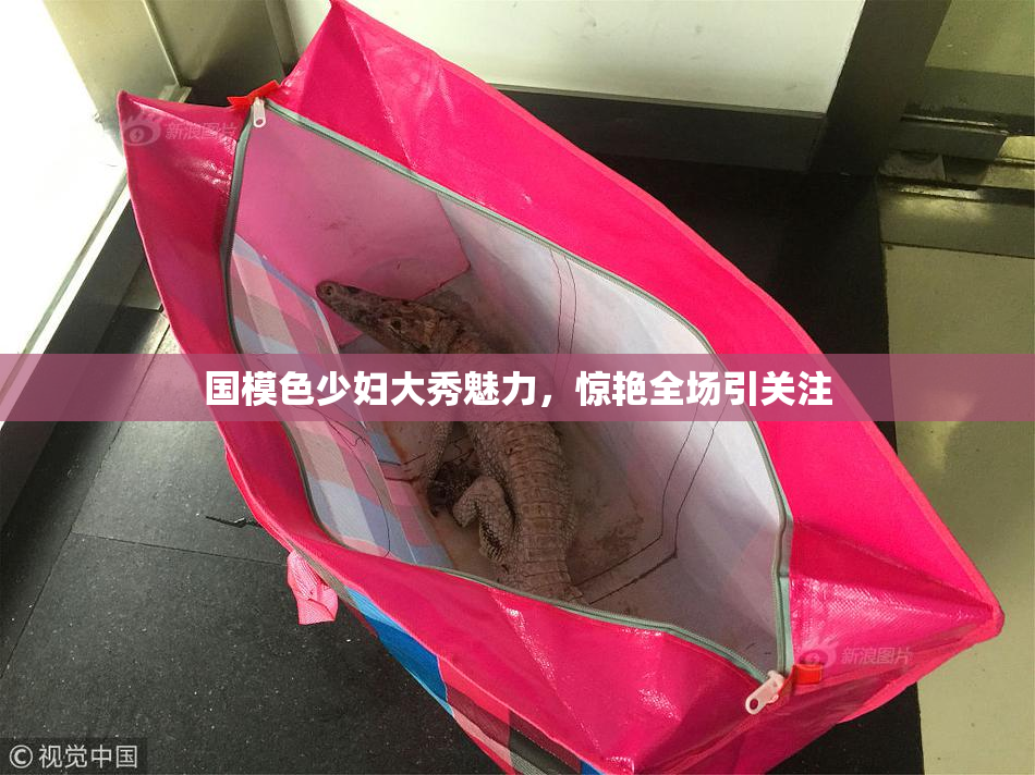 国模色少妇大秀魅力，惊艳全场引关注