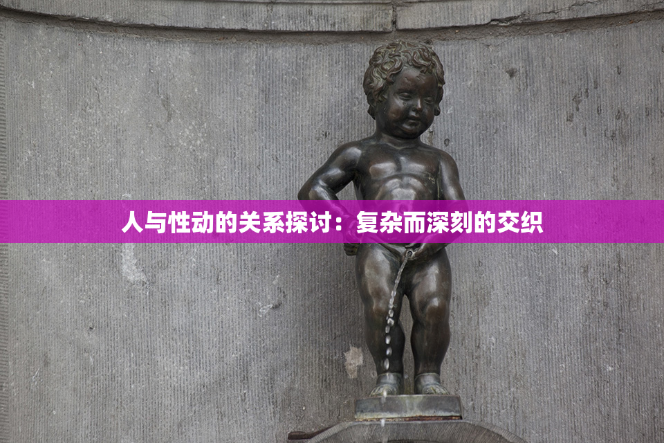 人与性动的关系探讨：复杂而深刻的交织