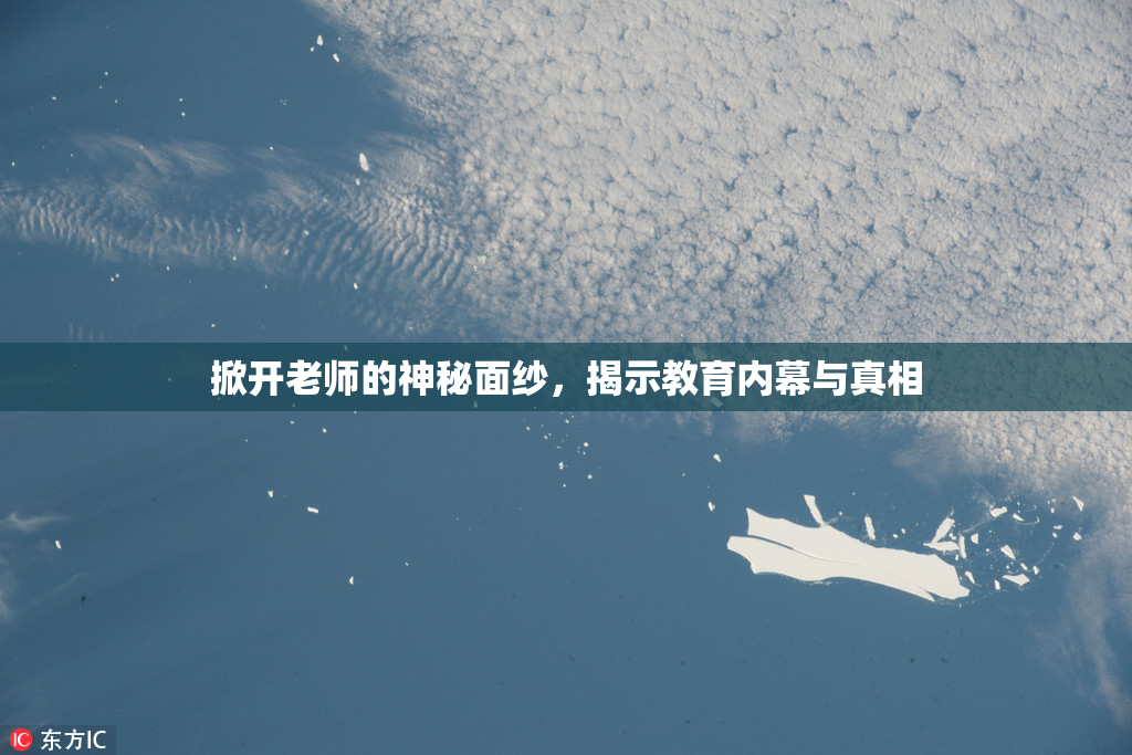 掀开老师的神秘面纱，揭示教育内幕与真相