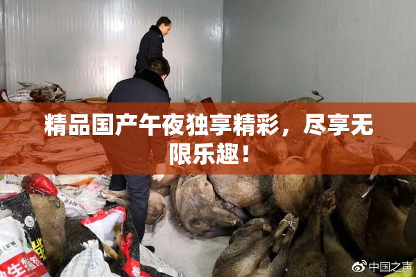 精品国产午夜独享精彩，尽享无限乐趣！