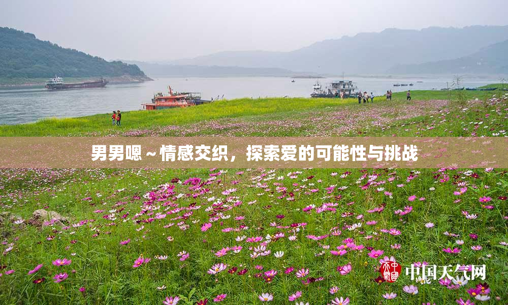 男男嗯～情感交织，探索爱的可能性与挑战