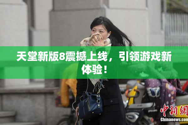 天堂新版8震撼上线，引领游戏新体验！