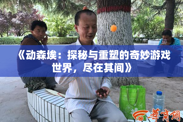 《动森埃：探秘与重塑的奇妙游戏世界，尽在其间》