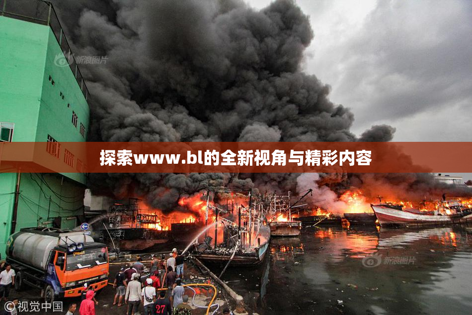 探索www.bl的全新视角与精彩内容