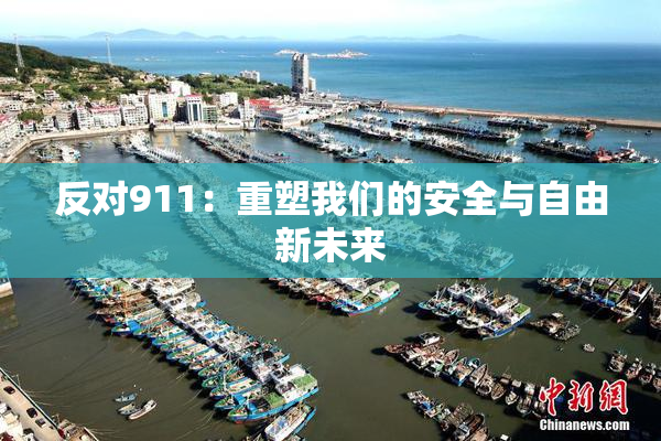 反对911：重塑我们的安全与自由新未来