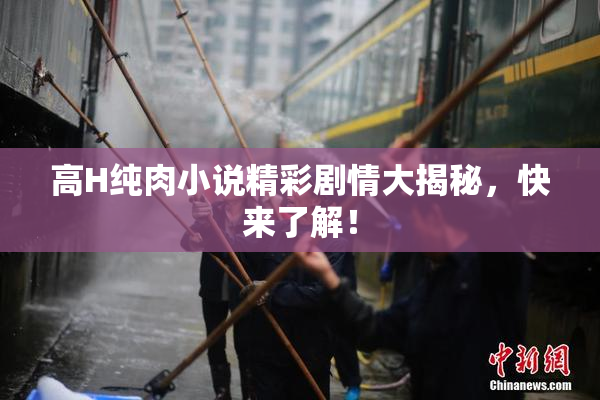 高H纯肉小说精彩剧情大揭秘，快来了解！