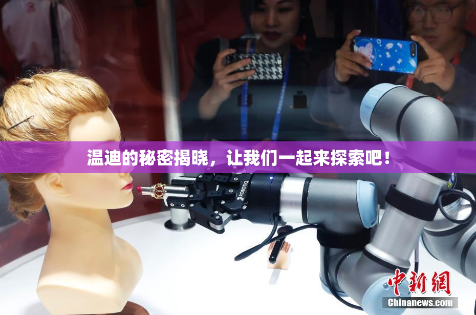 温迪的秘密揭晓，让我们一起来探索吧！