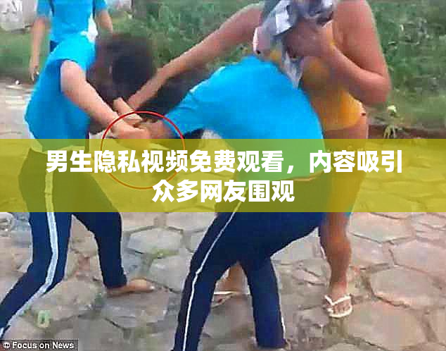 男生隐私视频免费观看，内容吸引众多网友围观