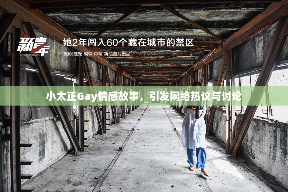 小太正Gay情感故事，引发网络热议与讨论