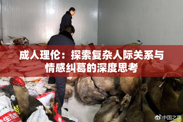 成人理伦：探索复杂人际关系与情感纠葛的深度思考