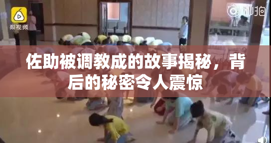 佐助被调教成的故事揭秘，背后的秘密令人震惊