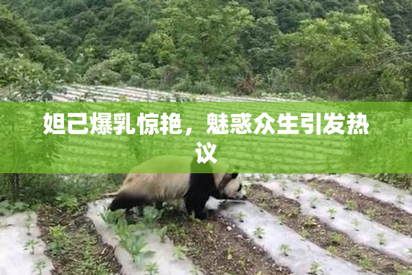 妲己爆乳惊艳，魅惑众生引发热议