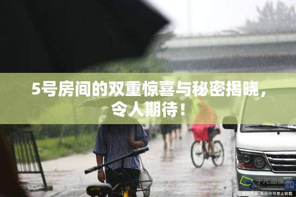 5号房间的双重惊喜与秘密揭晓，令人期待！