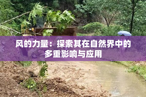 风的力量：探索其在自然界中的多重影响与应用