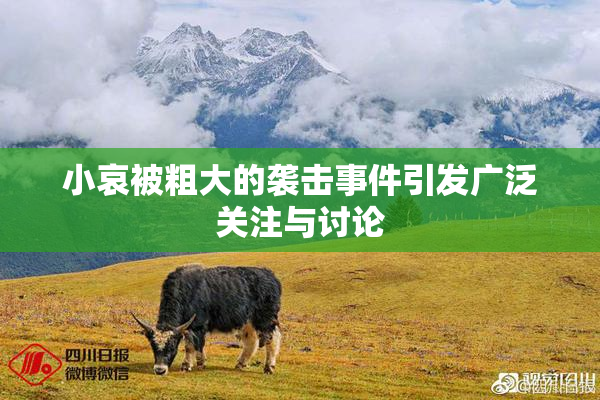 小哀被粗大的袭击事件引发广泛关注与讨论