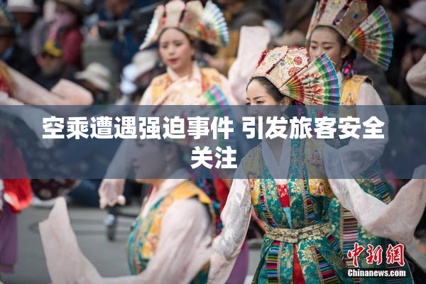空乘遭遇强迫事件 引发旅客安全关注
