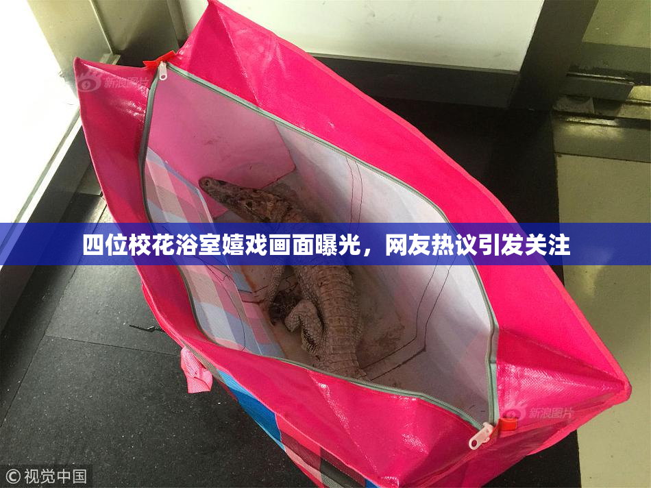 四位校花浴室嬉戏画面曝光，网友热议引发关注