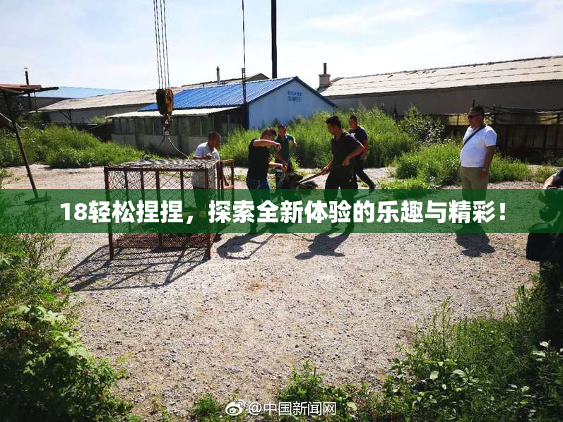 18轻松捏捏，探索全新体验的乐趣与精彩！
