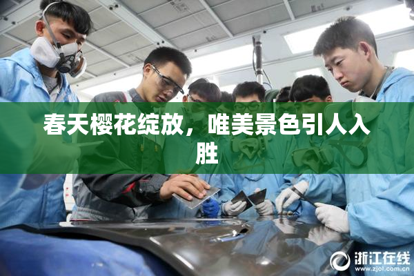春天樱花绽放，唯美景色引人入胜
