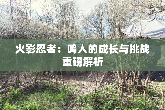 火影忍者：鸣人的成长与挑战重磅解析