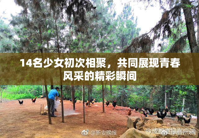14名少女初次相聚，共同展现青春风采的精彩瞬间