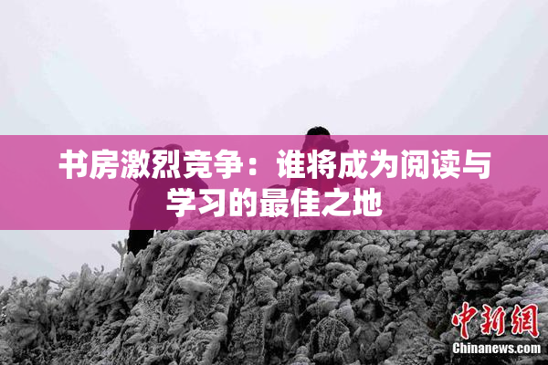 书房激烈竞争：谁将成为阅读与学习的最佳之地