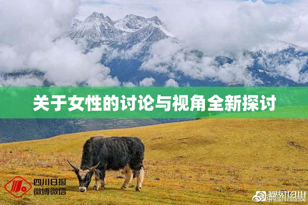 关于女性的讨论与视角全新探讨
