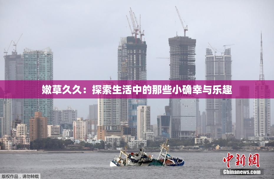 嫩草久久：探索生活中的那些小确幸与乐趣