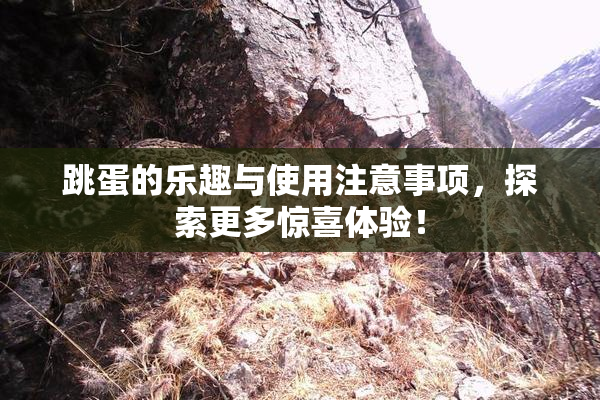 跳蛋的乐趣与使用注意事项，探索更多惊喜体验！