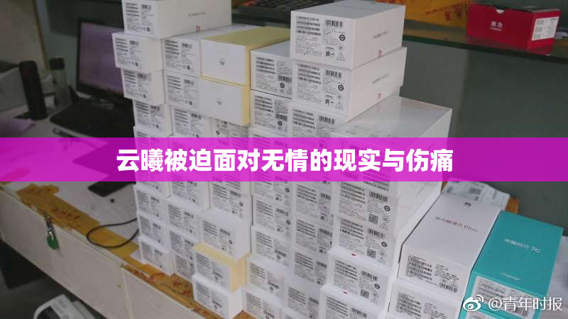 云曦被迫面对无情的现实与伤痛