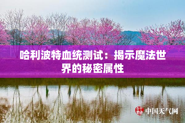 哈利波特血统测试：揭示魔法世界的秘密属性