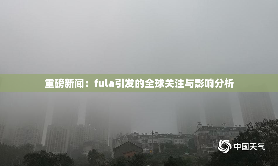 重磅新闻：fula引发的全球关注与影响分析