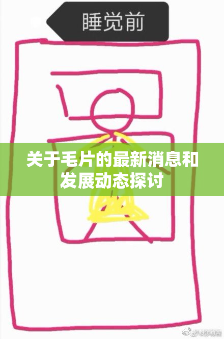 关于毛片的最新消息和发展动态探讨
