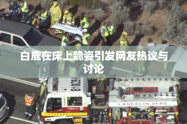 白鹿在床上跪姿引发网友热议与讨论