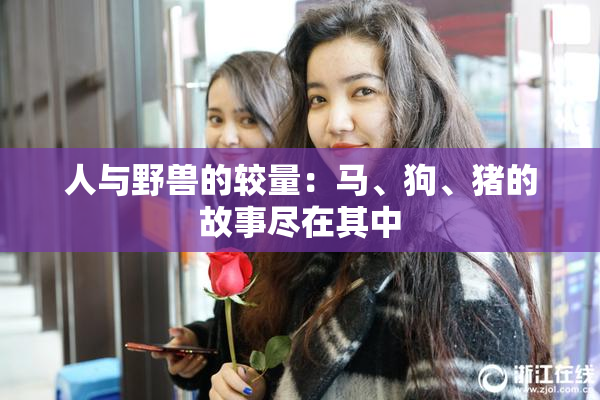 人与野兽的较量：马、狗、猪的故事尽在其中