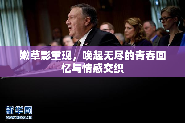 嫩草影重现，唤起无尽的青春回忆与情感交织