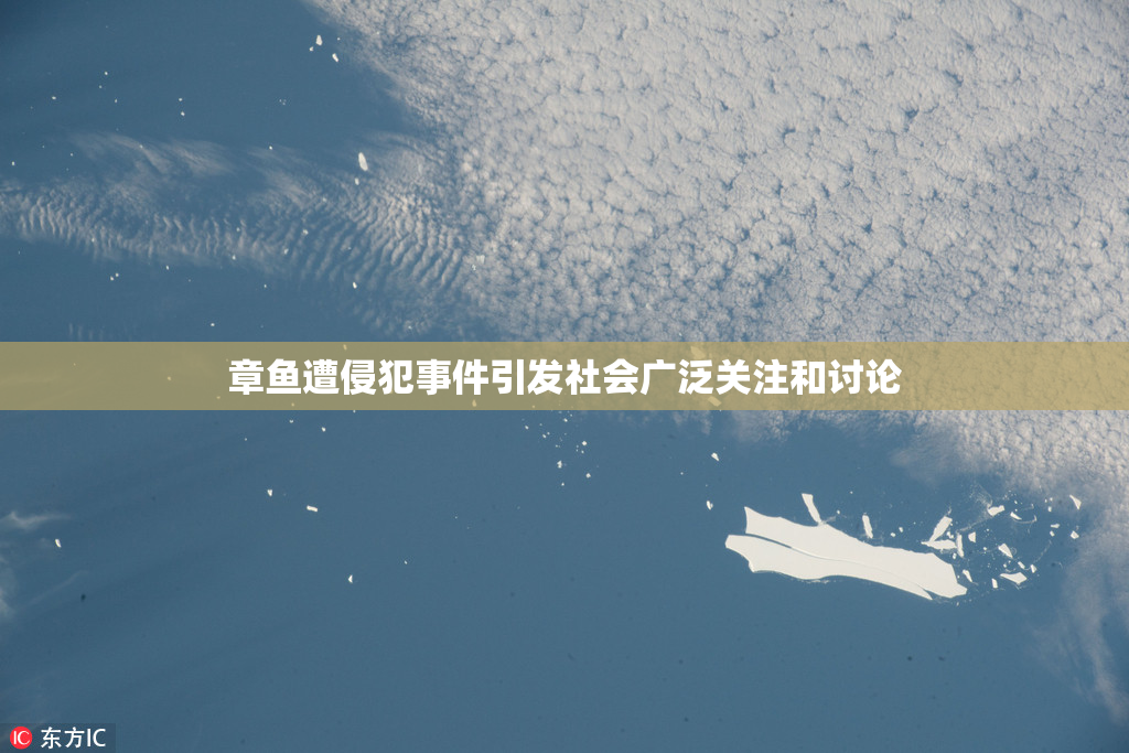 章鱼遭侵犯事件引发社会广泛关注和讨论