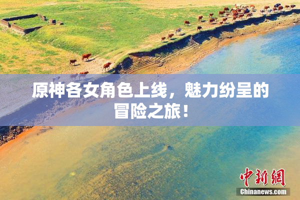 原神各女角色上线，魅力纷呈的冒险之旅！