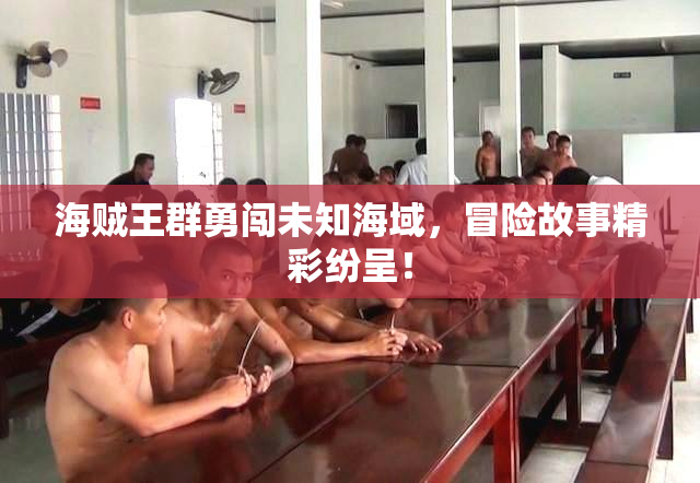 海贼王群勇闯未知海域，冒险故事精彩纷呈！