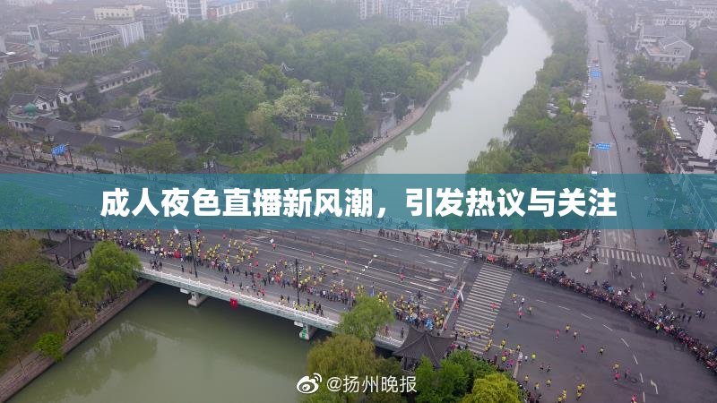 成人夜色直播新风潮，引发热议与关注