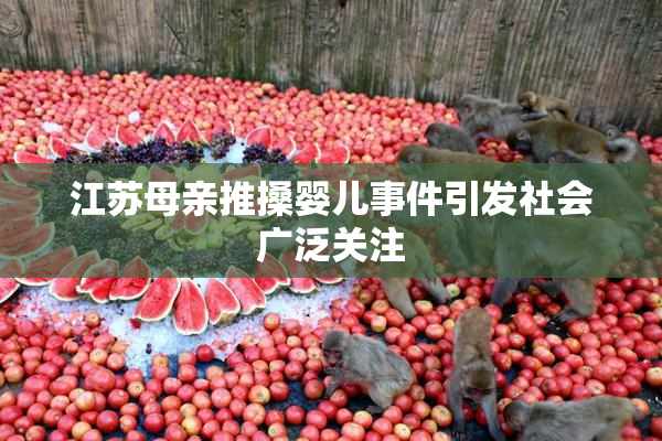江苏母亲推搡婴儿事件引发社会广泛关注