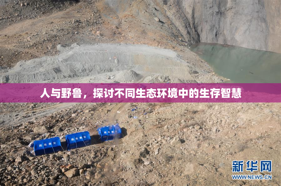 人与野鲁，探讨不同生态环境中的生存智慧