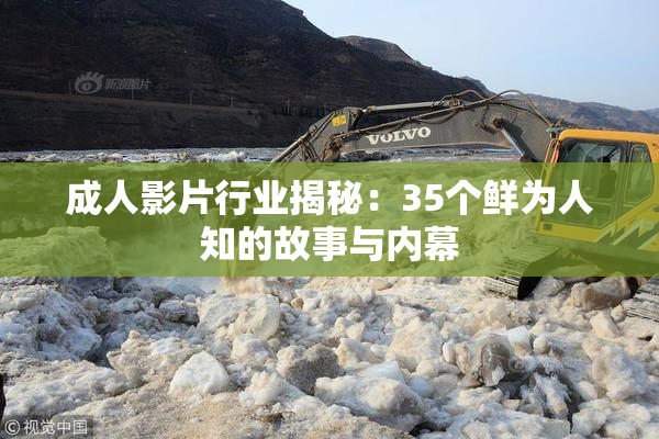 成人影片行业揭秘：35个鲜为人知的故事与内幕