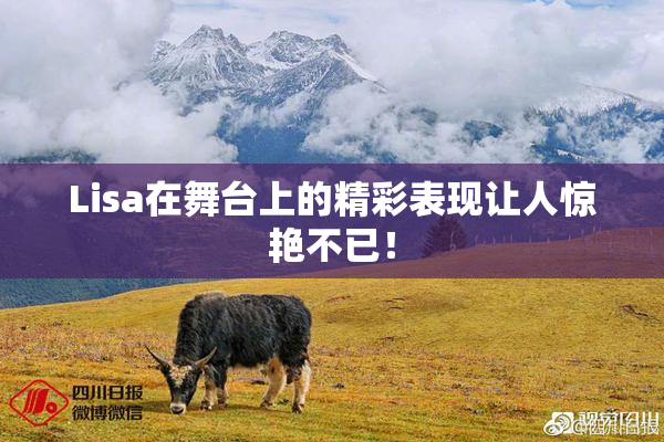 Lisa在舞台上的精彩表现让人惊艳不已！