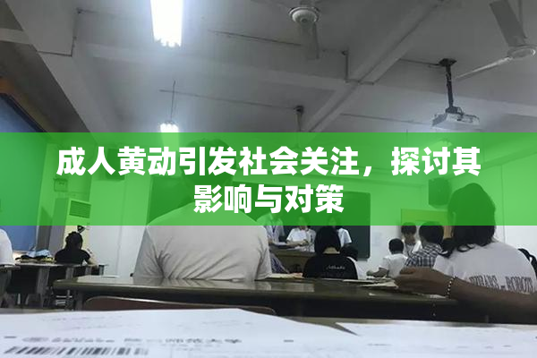成人黄动引发社会关注，探讨其影响与对策