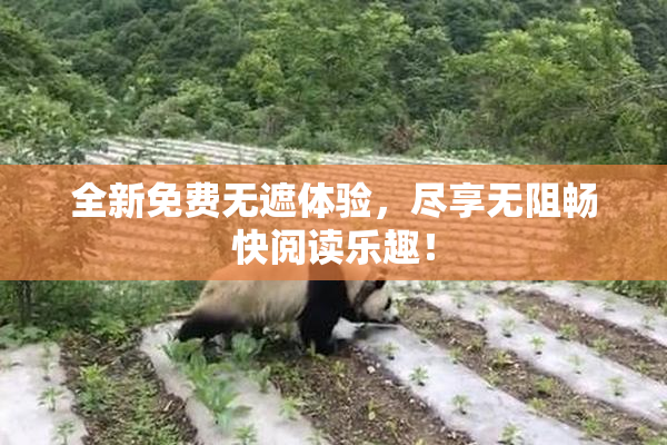 全新免费无遮体验，尽享无阻畅快阅读乐趣！