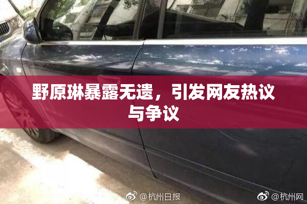 野原琳暴露无遗，引发网友热议与争议