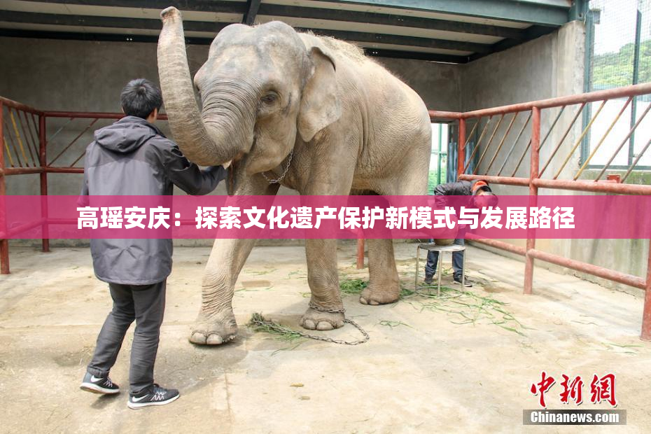 高瑶安庆：探索文化遗产保护新模式与发展路径