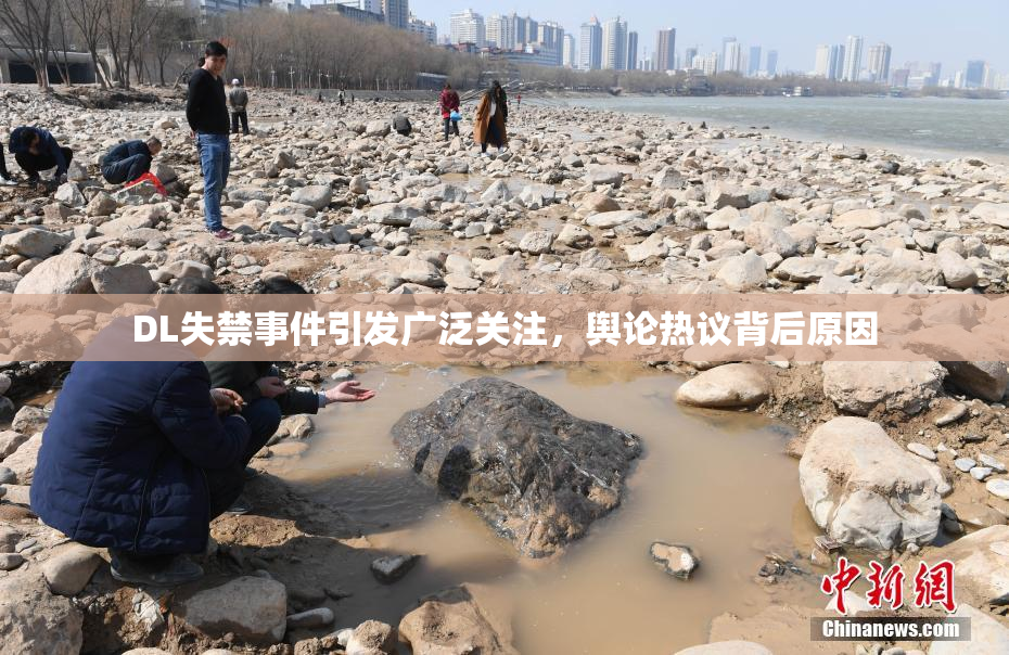 DL失禁事件引发广泛关注，舆论热议背后原因